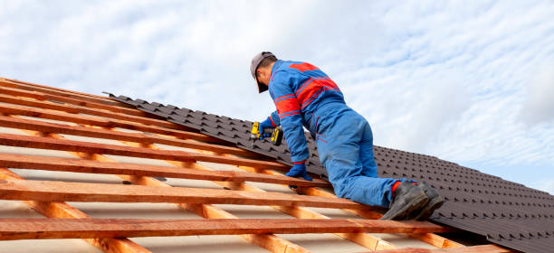 Best Roof Moss and Algae Removal  in Sconsin Dells, WI